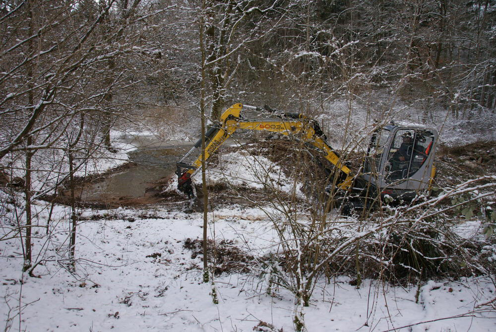 Neue Stillgewässer für den Kammmolch im Frauenholz &copy; Hartmut Schmid