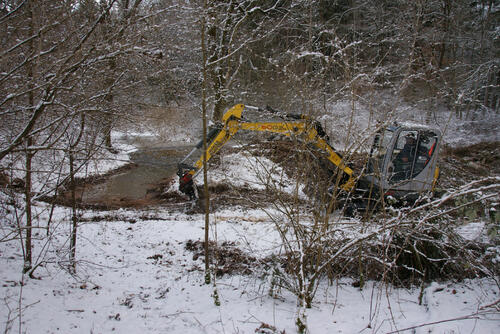 Neue Stillgewässer für den Kammmolch im Frauenholz &copy; Hartmut Schmid