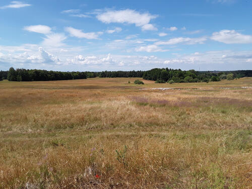 Herzogsberge © André Kopka/DBU Naturerbe