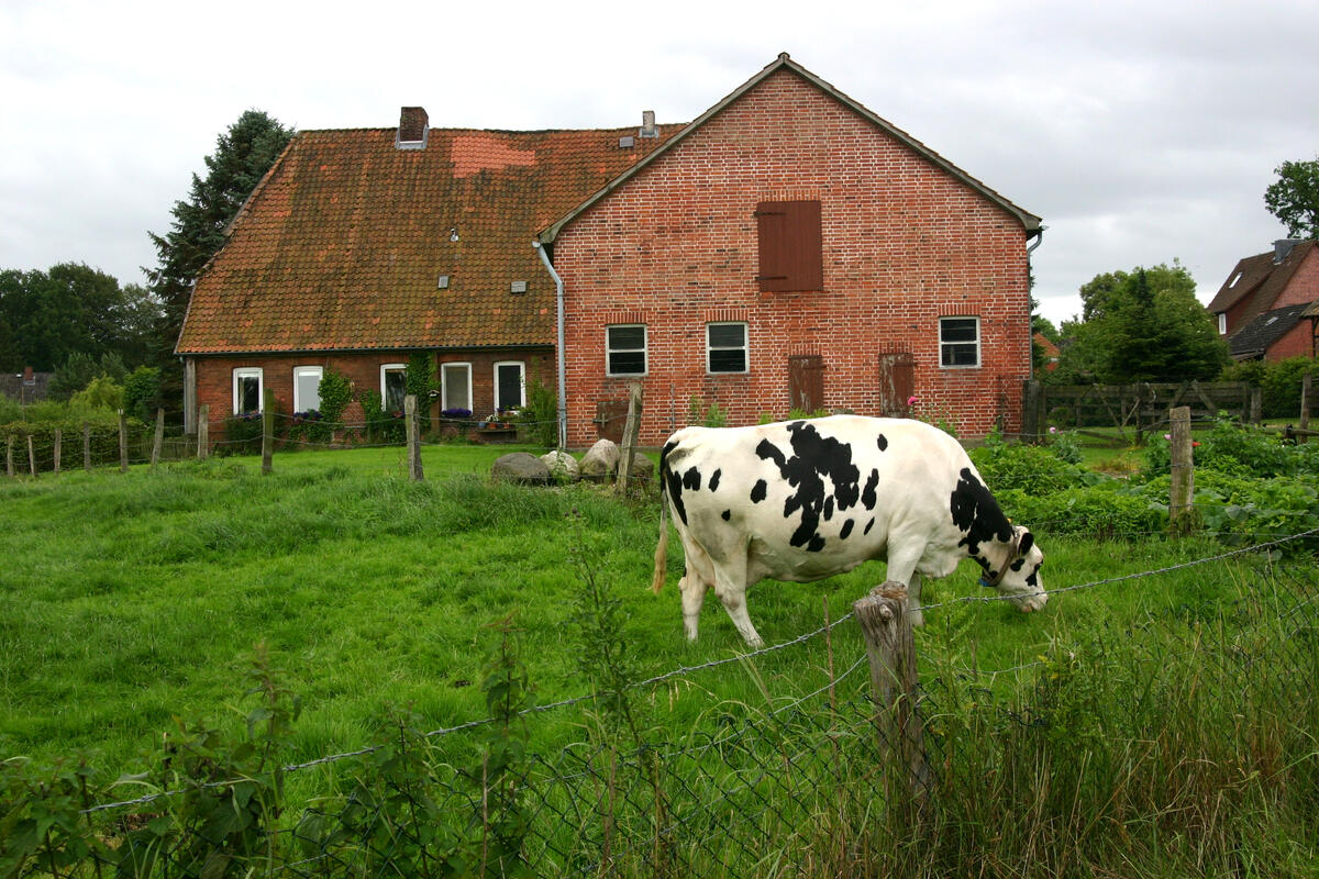 Nachhaltige Landwirtschaft DBU