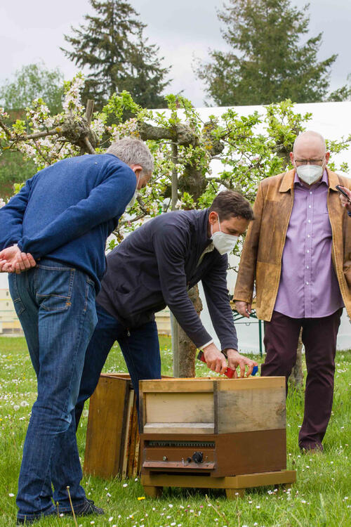 BeeCheck © Johannes Kaufmann/JKI