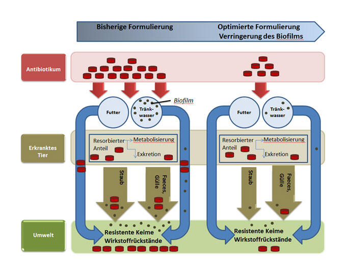 Stoffströme in der derzeitigen Praxis der Tiermedikation  © DBU-Projektpartner