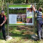 Informationstafel Zschornoer Wald Bundesforstbetrieb Lausitz © Gert Noack / Bundesforstbetrieb Lausitz
