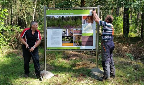 Informationstafel Zschornoer Wald Bundesforstbetrieb Lausitz © Gert Noack / Bundesforstbetrieb Lausitz