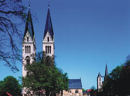 Limestone preservation at the Halberstadt Cathedral 