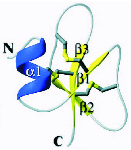 Produktion von Antiinfektiva in Pflanzen 