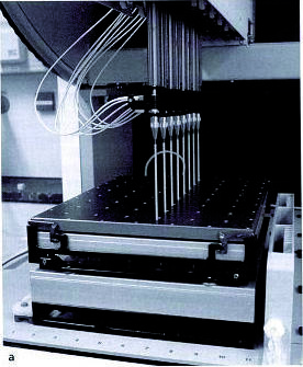 Hochdurchsatz-Bioprozessentwicklung 