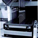 Hochdurchsatz-Bioprozessentwicklung 