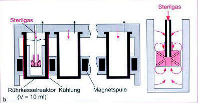 Hochdurchsatz-Bioprozessentwicklung 