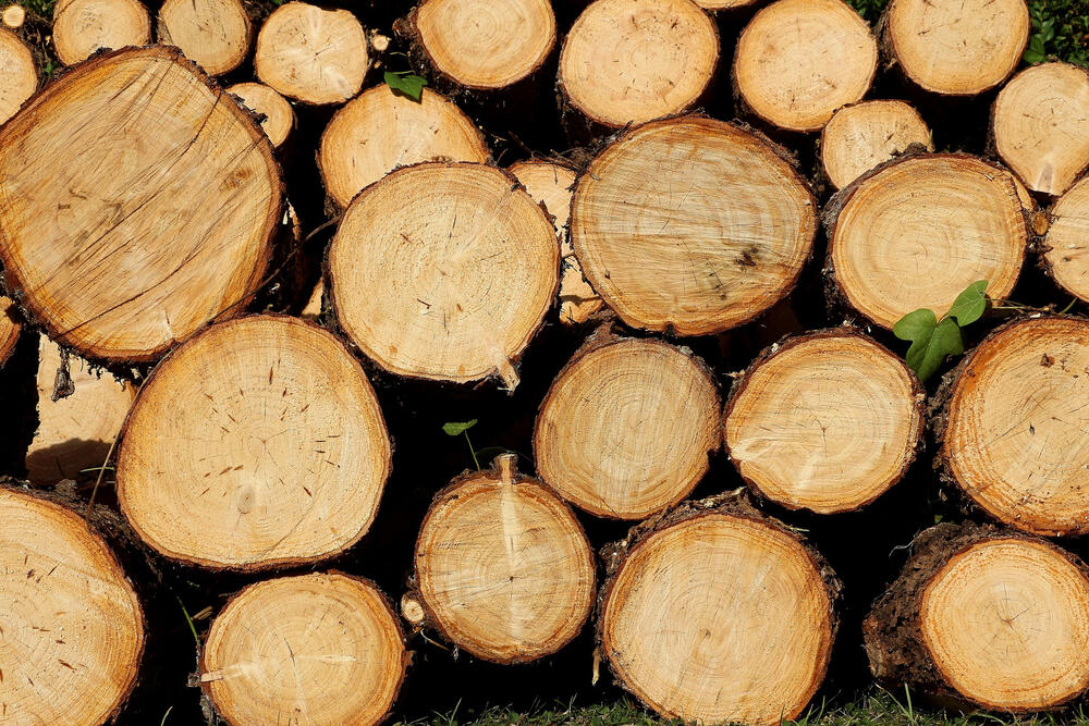 Holz – Nachwachsender CO2-Speicher und Brennstoff für die kühlere Jahreszeit © Pixabay