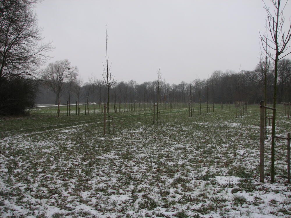 StipendiatenPark im Schnee 