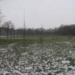 StipendiatenPark im Schnee 