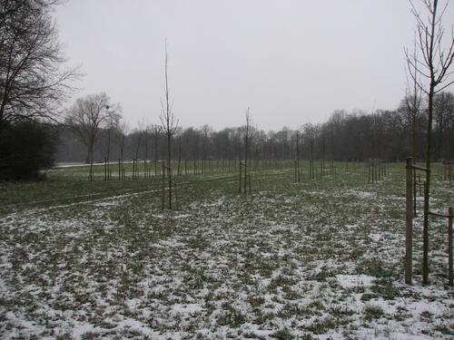 StipendiatenPark im Schnee 