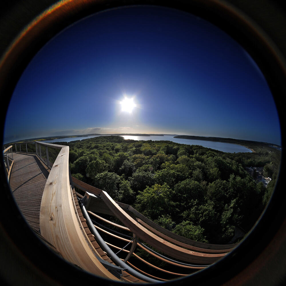 Baumwipfelpfad Rügen © Peter Himsel