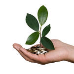 Fotolia_13288408_L_© Dmitry - stock.adobe.com.jpg 