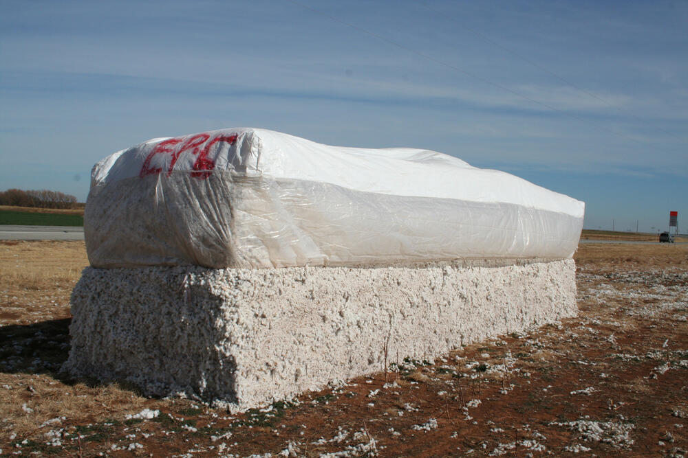 Baumwollmiete © Wilhelm Irsch/piclease