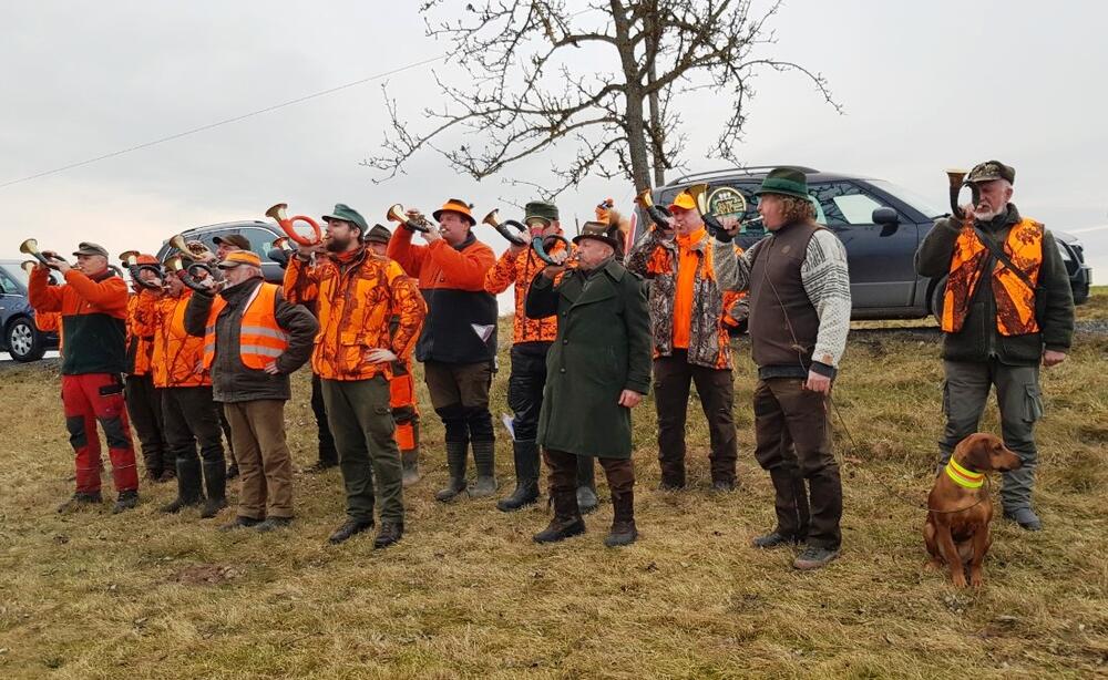 Jagd DBU-Fläche Himmelsgrund  &copy; Otto Denstorf/DBU