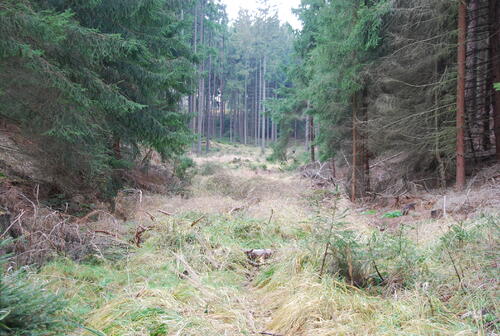 Jagd im Himmelsgrund &copy; Uwe Fuellhaas/DBU