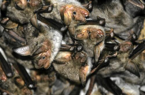 Sehen Sie selbst... &copy; Gailberger, Wilhelm/piclease