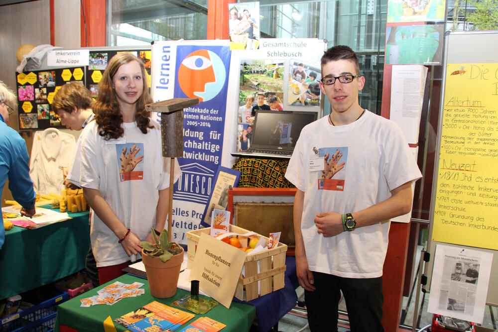 Schulimkerei-Projekte 