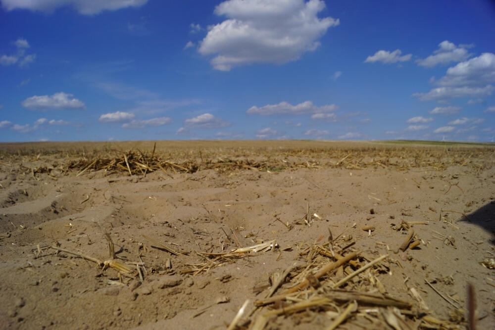 Flora-Fauna-Habitat (FFH)-Fläche Weesower Luch © Pierre Ibisch