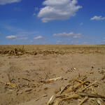 Flora-Fauna-Habitat (FFH)-Fläche Weesower Luch © Pierre Ibisch