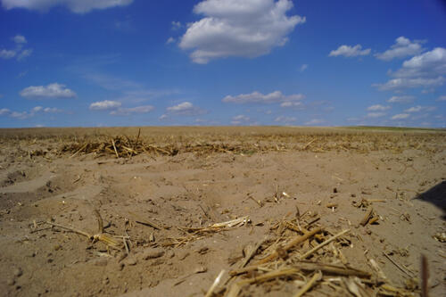 Flora-Fauna-Habitat (FFH)-Fläche Weesower Luch © Pierre Ibisch