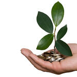 New opportunities after the financial crisis? 