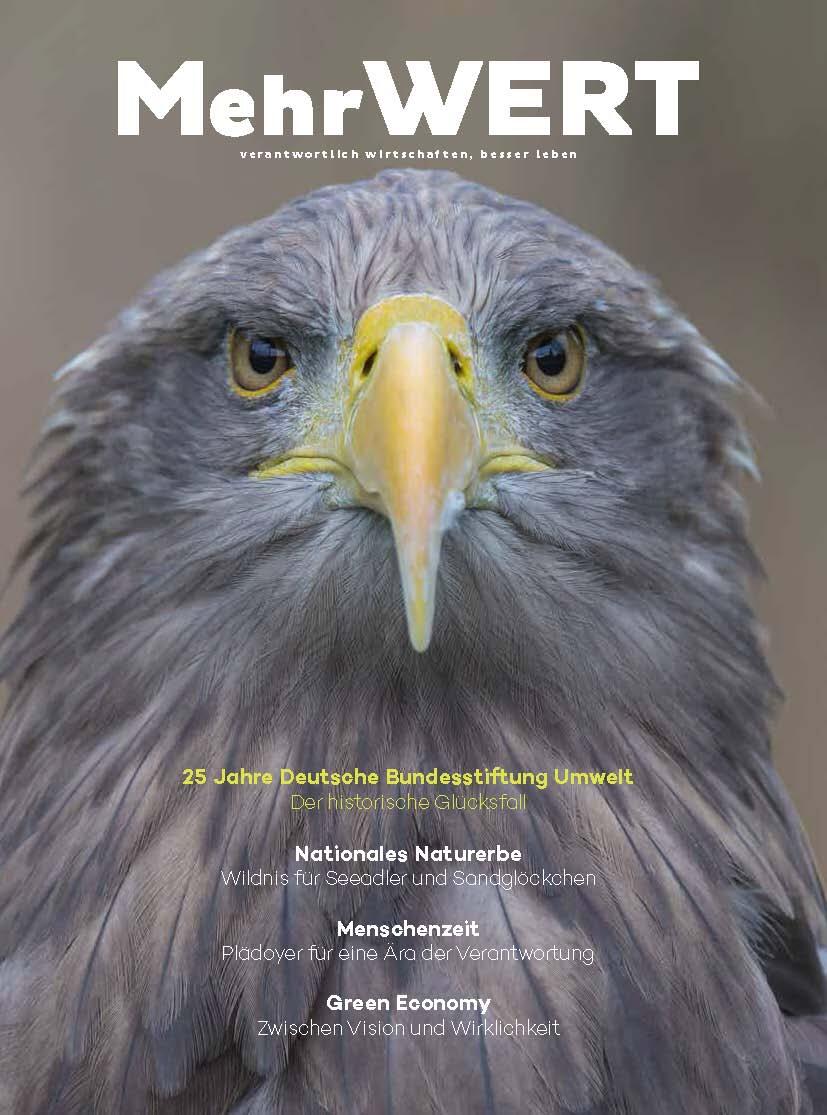 DBU-MehrWERT-Magazin &copy; Rolfes