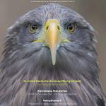 DBU-MehrWERT-Magazin &copy; Rolfes