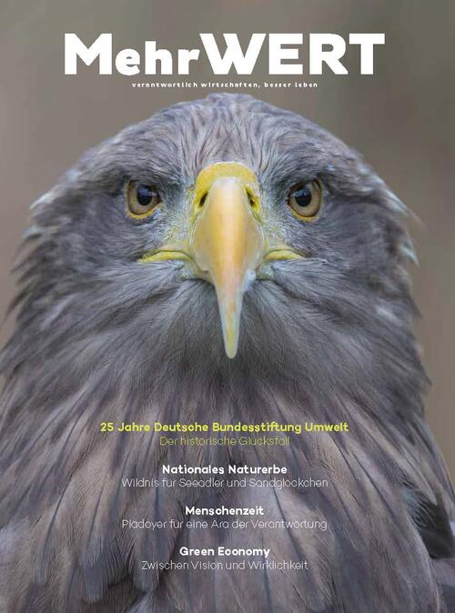 DBU-MehrWERT-Magazin &copy; Rolfes