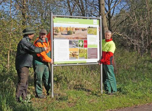 Infotafel Kühnauer Heide 