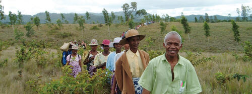 Schüler transplantieren tropischen Primärwald 