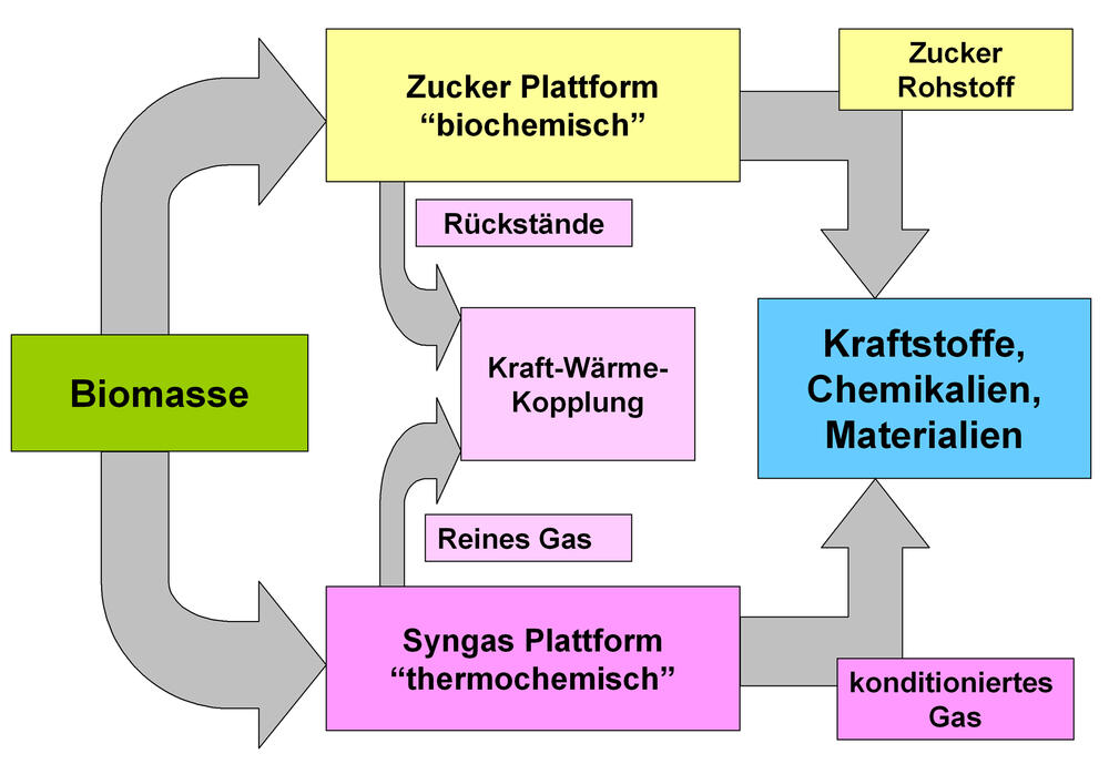 Konzept der Bioraffinerien 