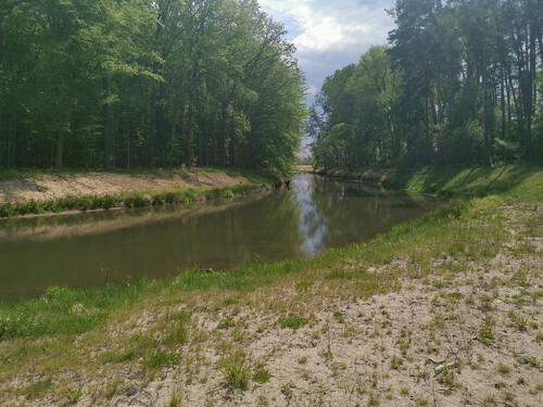 Renaturierte Spree auf DBU-Naturerbefläche Daubaner Wald © Andreas Petzel/Bundesforst