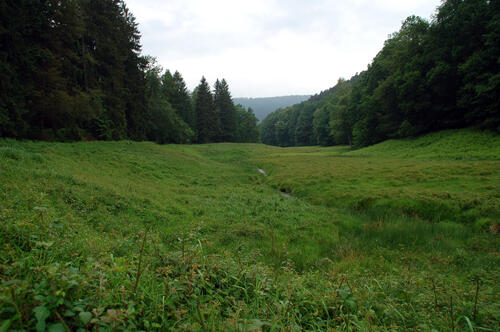 Spessart &copy; Naturpark Spessart e.V.