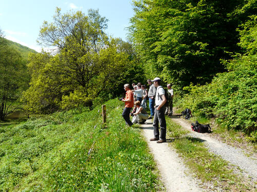 Spessart &copy; Naturpark Spessart e.V.