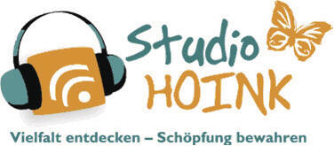 Logo Studio Hoink 
