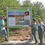 Infotafel für DBU-Naturerbefläche Ebenberg © Bundesforst