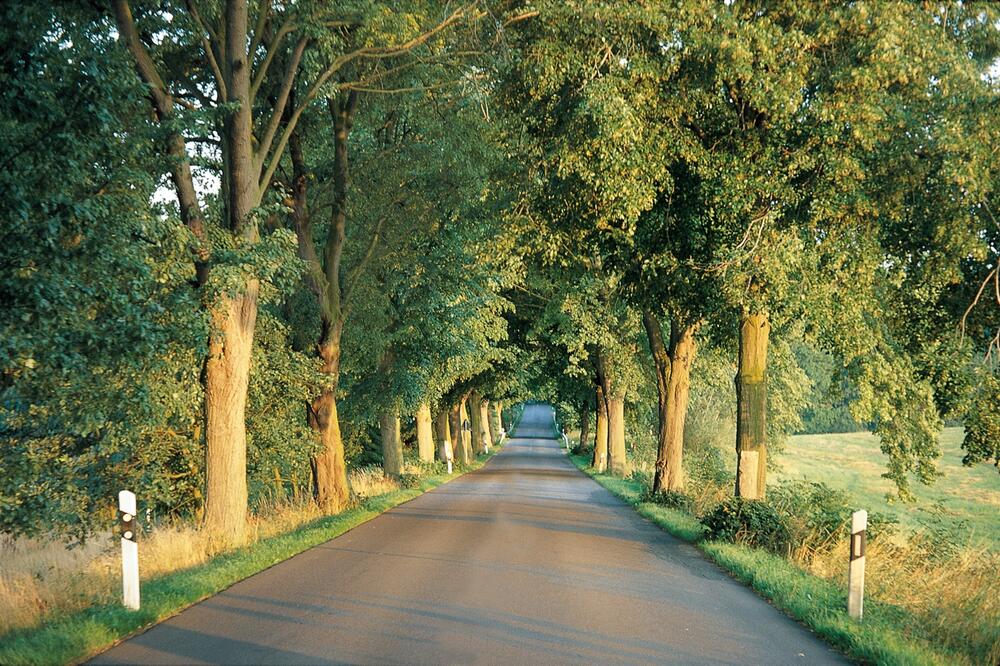 Alleen in Deutschland 