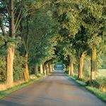 Alleen in Deutschland 