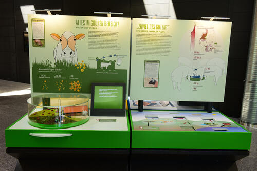 Sehen Sie selbst... © Deutsche Bundesstiftung Umwelt