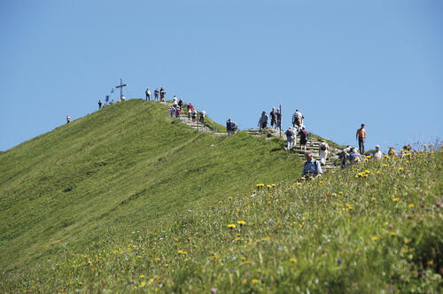 Filmproduktion »Allgäuer Berge. Alpine Natur Erleben« 