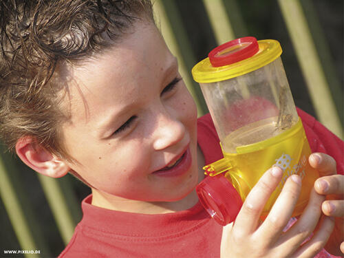 Umweltwissen und Medienkompetenz online: kindgerechte Umweltplattform © www.pixelio.de