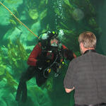 Multimar Großaquarium &copy; Multimar Wattforum