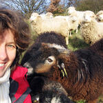 muna-Multiplikationsförderung 2006 