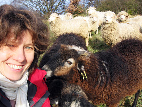 muna-Multiplikationsförderung 2006 