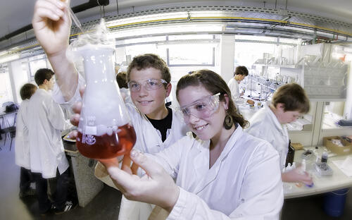 Sehen Sie selbst... © Das Bilderwerk