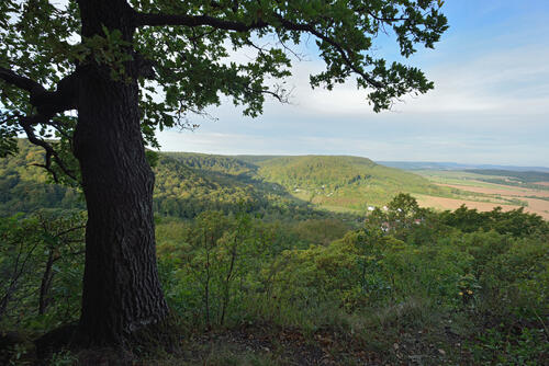 Westliche Hainleite © Thomas Stephan