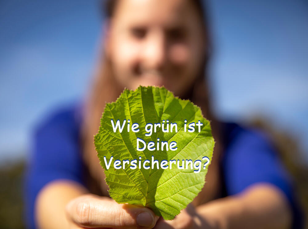 Greensurance Stiftung © Greensurance Stiftung